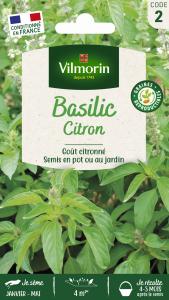 Basilic Citron